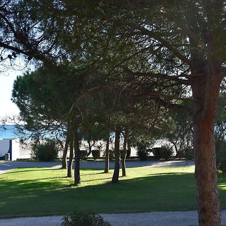 Le Byblos 9 - Vue Mer - Climatisation Plage d'Argeles Luaran gambar
